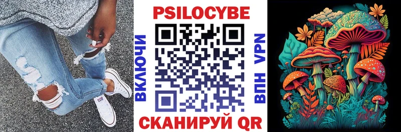 дарнет шоп  Удомля  MEGA маркетплейс  Галлюциногенные грибы прущие грибы 